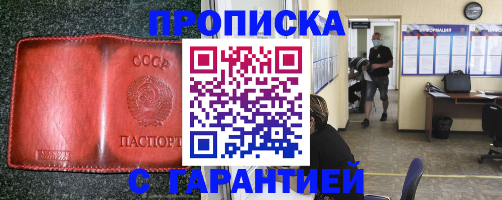 прописка гарантия в Бабаево